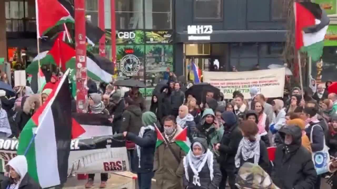 Demonstrations in Vienna in Support of Palestine