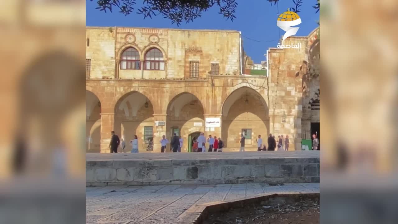 بمناسبة "يوم الاستقلال".. عشرات المستوطنين يقتحمون المسجد الأقصى بحماية قوات الاحتلال