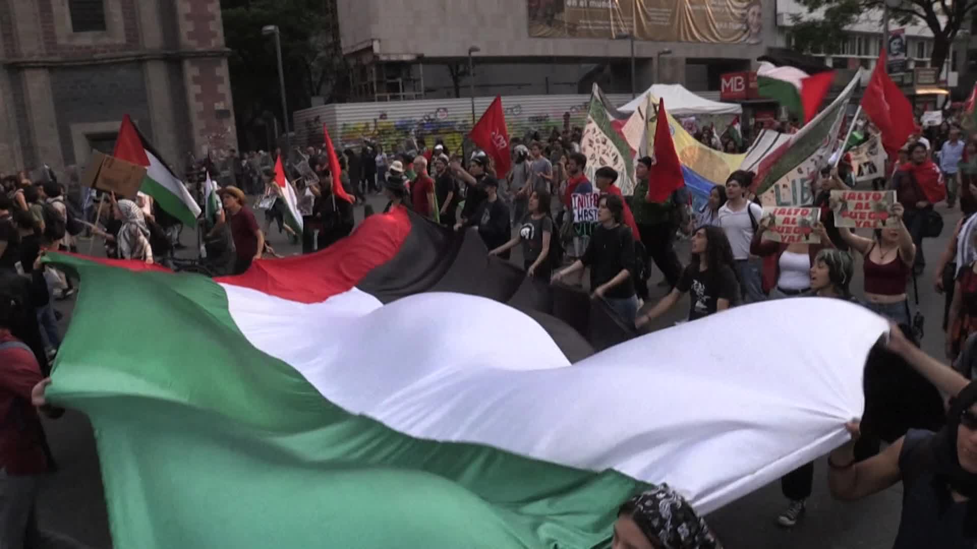 مسيرة حاشدة تضامناً مع فلسطين في العاصمة مكسيكو